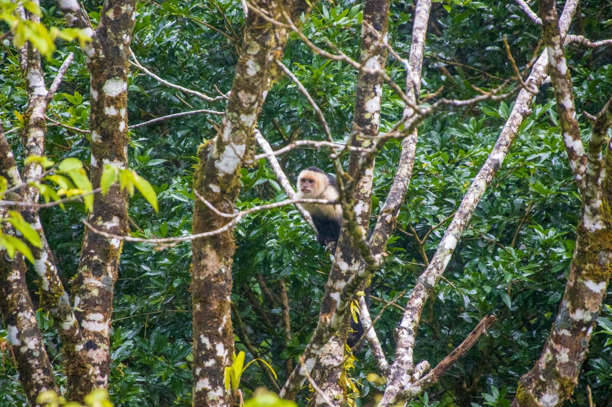Aves De Tierras Altas Bijagua Exterior foto